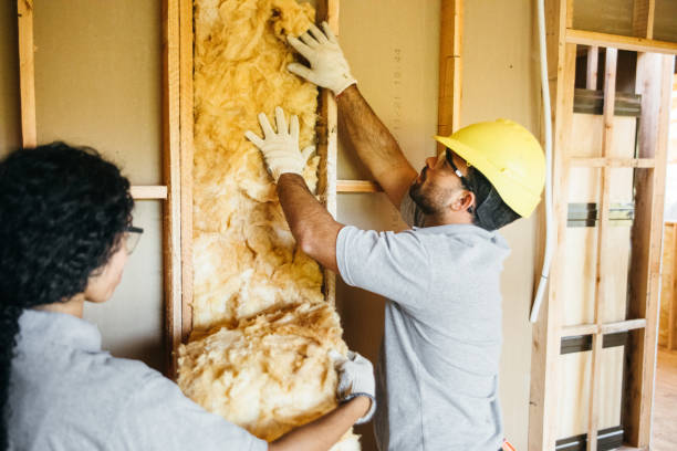 Best Home Insulation Services  in Springdale, NC