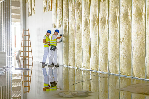 Best Insulation Contractor Near Me  in Springdale, NC